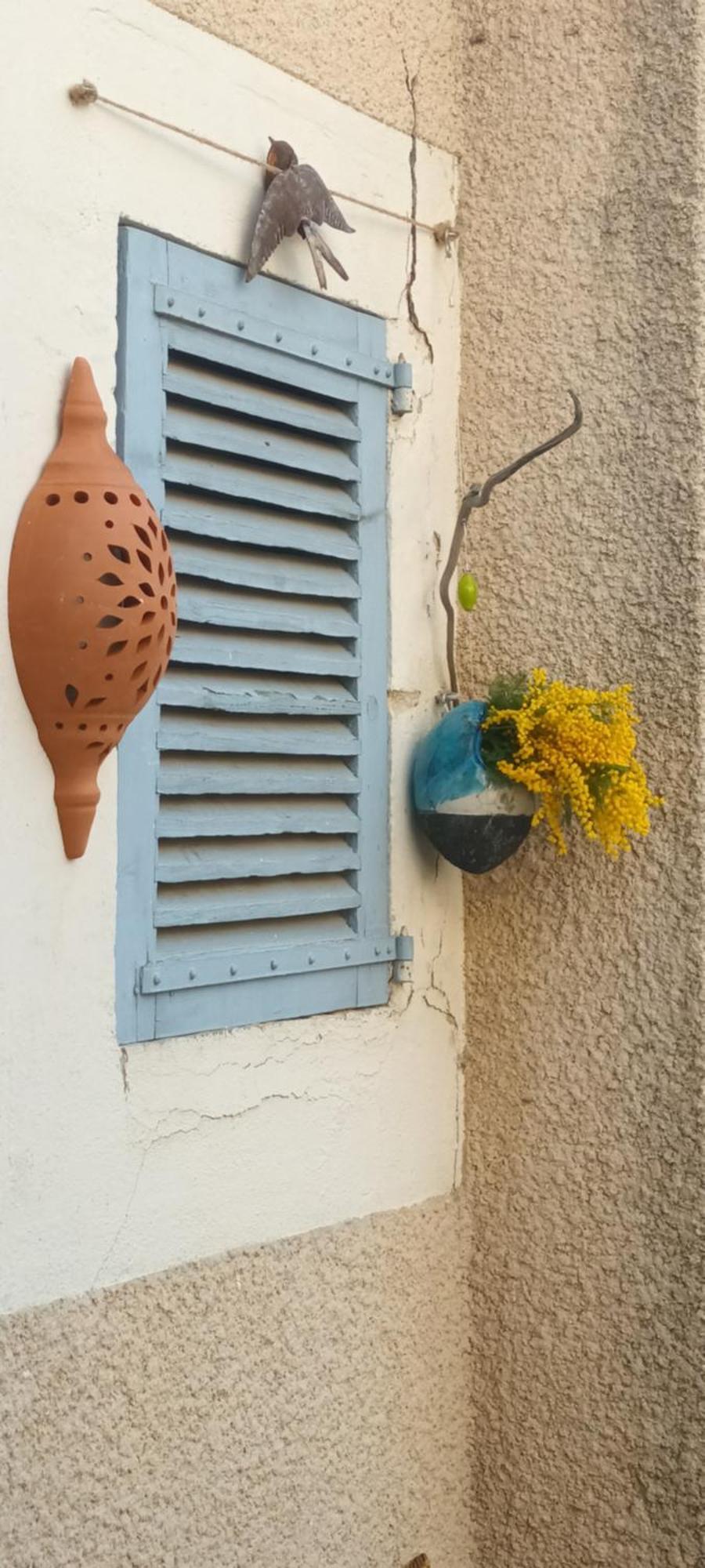 Maison Rulman Nîmes Extérieur photo